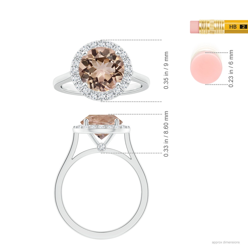 9.04-9.08x5.17mm AAA GIA Certified Round Morganite Halo Ring with Reverse Tapered Shank in P950 Platinum ruler