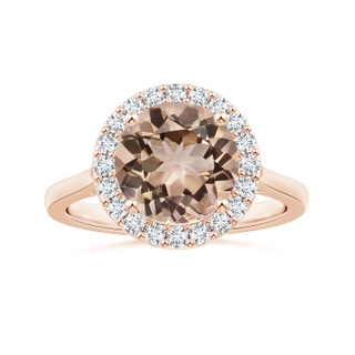 9.04-9.08x5.17mm AAA GIA Certified Round Morganite Halo Ring with Reverse Tapered Shank in Rose Gold