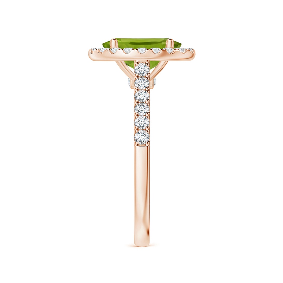 9.93x7.89x5.02mm AAA GIA Certified Oval Peridot Halo Ring with Diamonds in Rose Gold Side 399