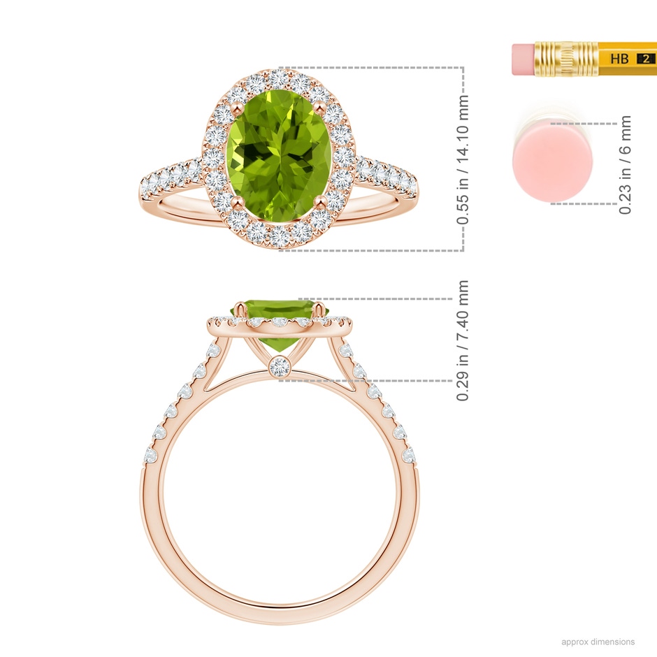 9.93x7.89x5.02mm AAA GIA Certified Oval Peridot Halo Ring with Diamonds in Rose Gold ruler