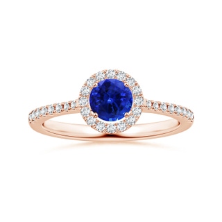 6.00x5.97x3.42mm AAAA Blue Sapphire Halo Ring with Reverse Tapered Shank in 10K Rose Gold