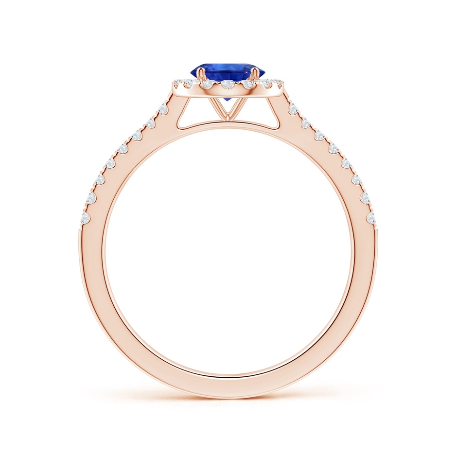 6.00x5.97x3.42mm AAAA Blue Sapphire Halo Ring with Reverse Tapered Shank in 18K Rose Gold side 199