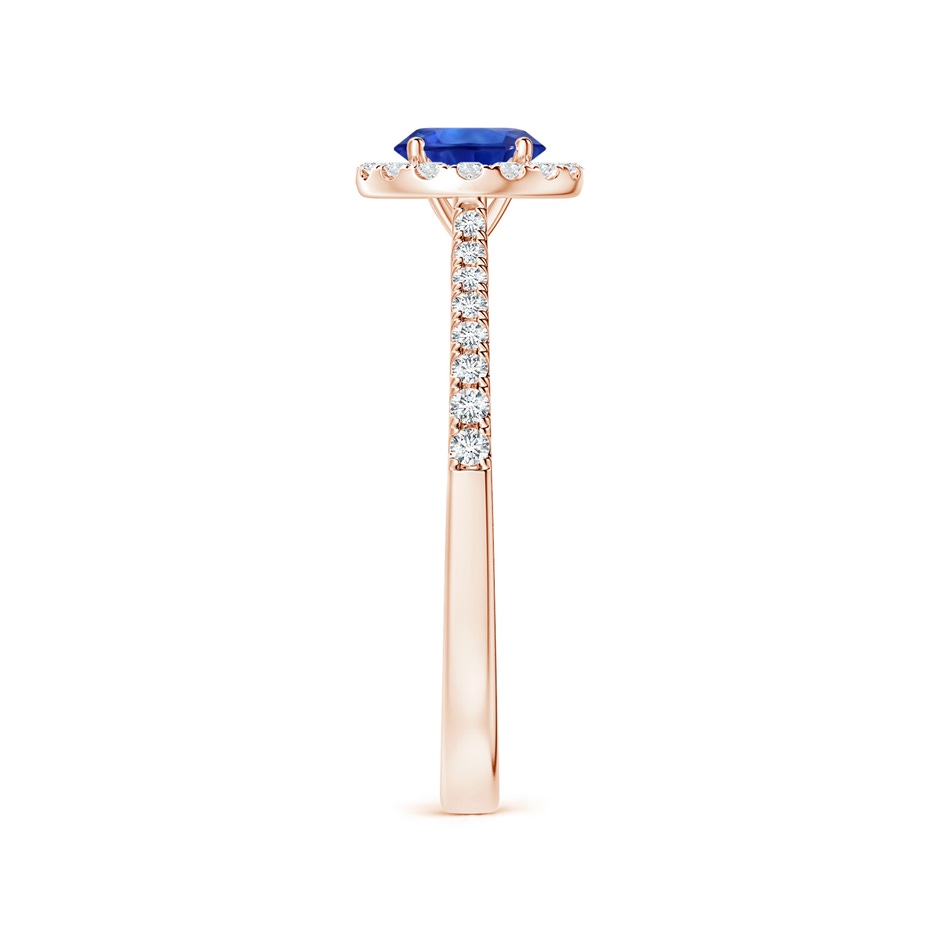 6.00x5.97x3.42mm AAAA Blue Sapphire Halo Ring with Reverse Tapered Shank in 18K Rose Gold side 399