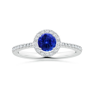 Round AAAA Blue Sapphire