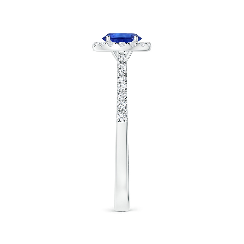 6.00x5.97x3.42mm AAAA Blue Sapphire Halo Ring with Reverse Tapered Shank in 18K White Gold side 399