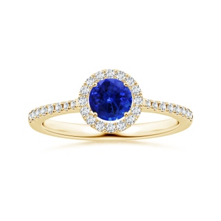 6.00x5.97x3.42mm AAAA Blue Sapphire Halo Ring with Reverse Tapered Shank in 18K Yellow Gold