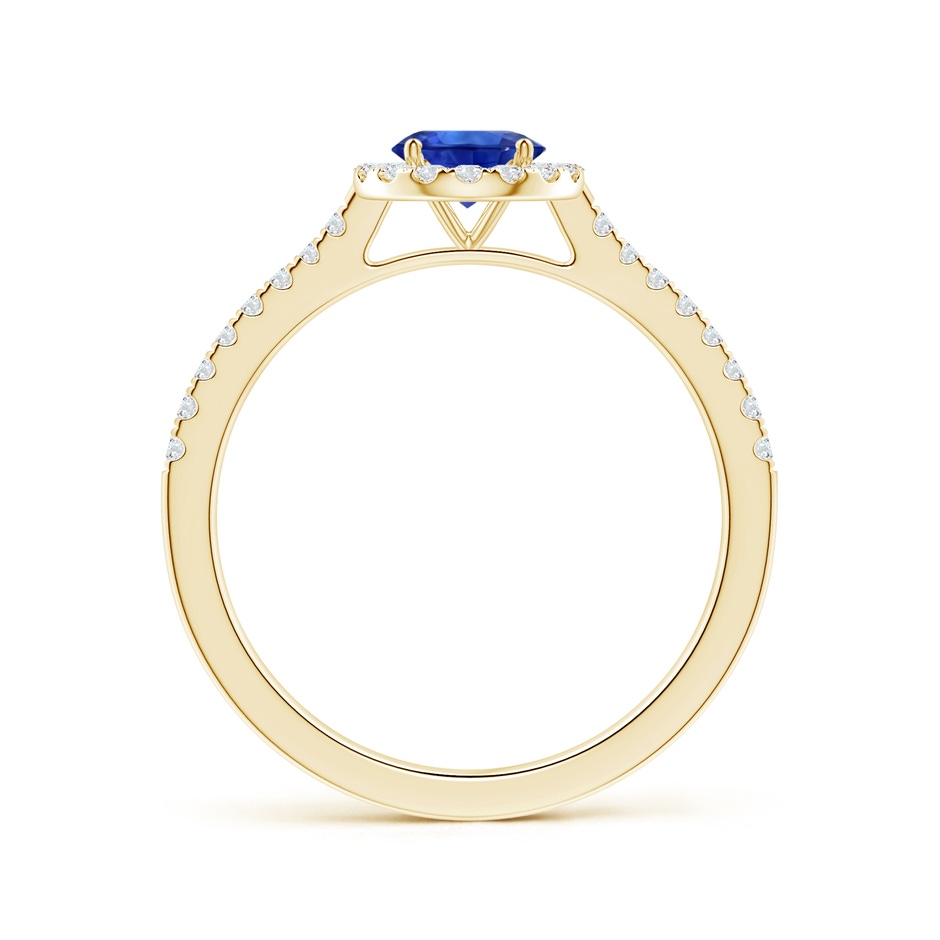 6.00x5.97x3.42mm AAAA Blue Sapphire Halo Ring with Reverse Tapered Shank in 18K Yellow Gold side 199