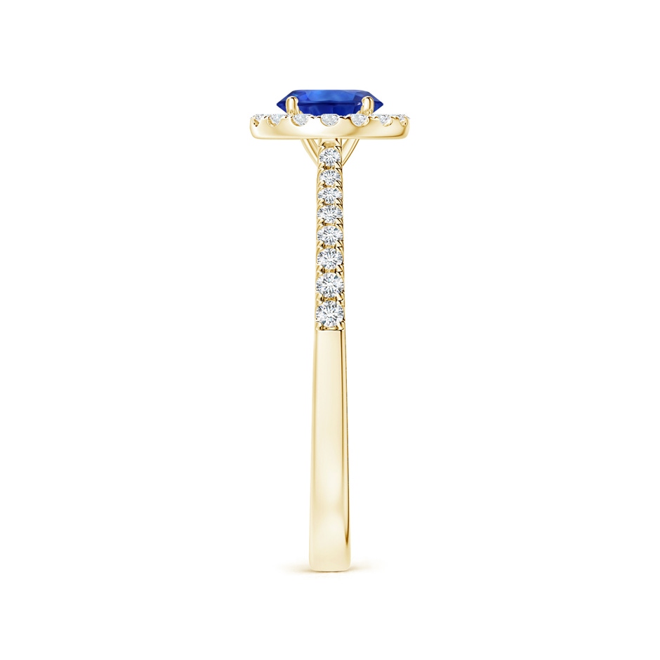 6.00x5.97x3.42mm AAAA Blue Sapphire Halo Ring with Reverse Tapered Shank in 18K Yellow Gold side 399