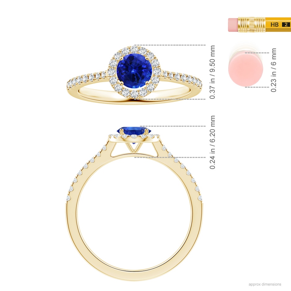 6.00x5.97x3.42mm AAAA Blue Sapphire Halo Ring with Reverse Tapered Shank in 18K Yellow Gold ruler