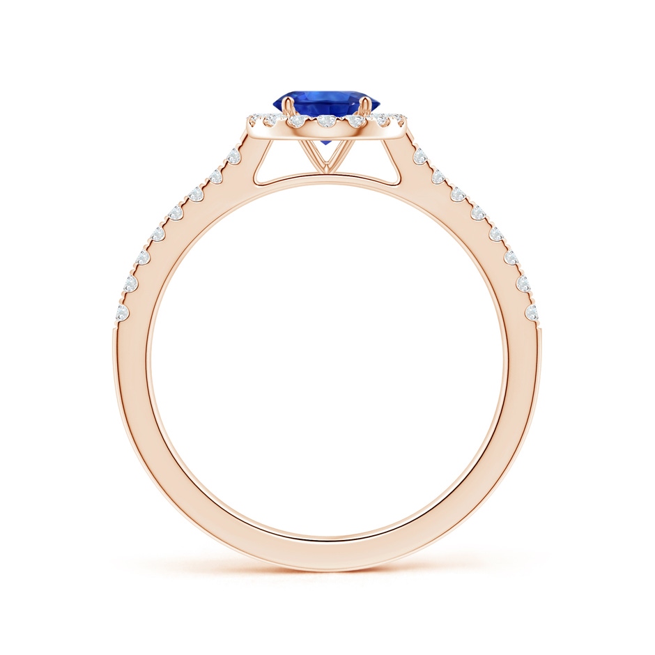 6.00x5.97x3.42mm AAAA Blue Sapphire Halo Ring with Reverse Tapered Shank in Rose Gold side 199