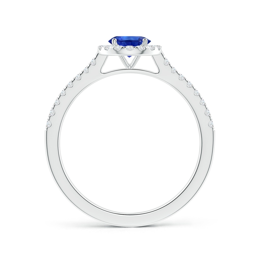 6.00x5.97x3.42mm AAAA Blue Sapphire Halo Ring with Reverse Tapered Shank in White Gold Side 199