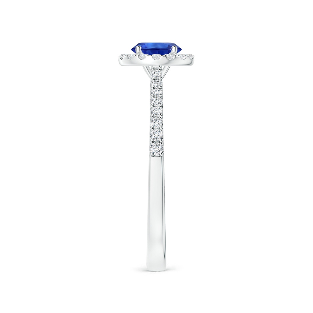 6.00x5.97x3.42mm AAAA Blue Sapphire Halo Ring with Reverse Tapered Shank in White Gold Side 399