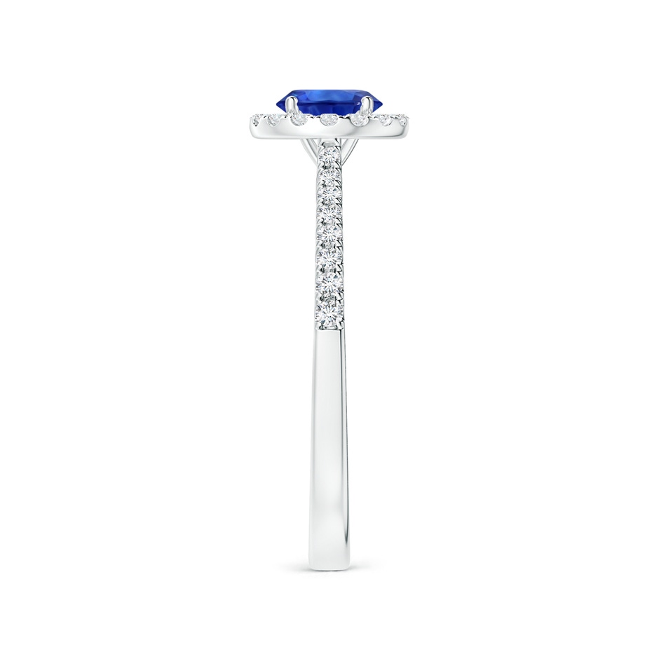 6.00x5.97x3.42mm AAAA Blue Sapphire Halo Ring with Reverse Tapered Shank in White Gold side 399