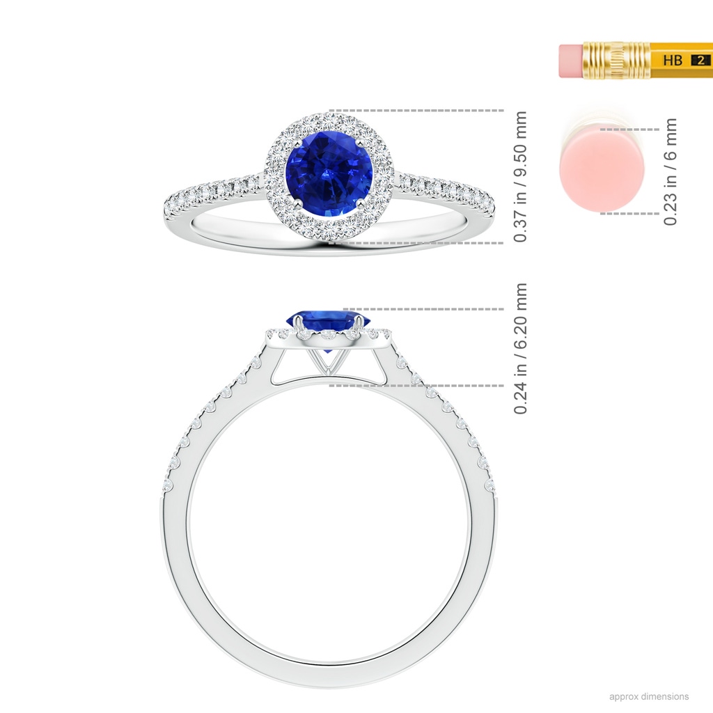 6.00x5.97x3.42mm AAAA Blue Sapphire Halo Ring with Reverse Tapered Shank in White Gold ruler