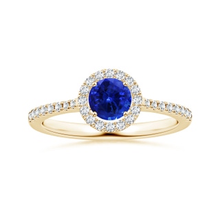 Round AAAA Blue Sapphire