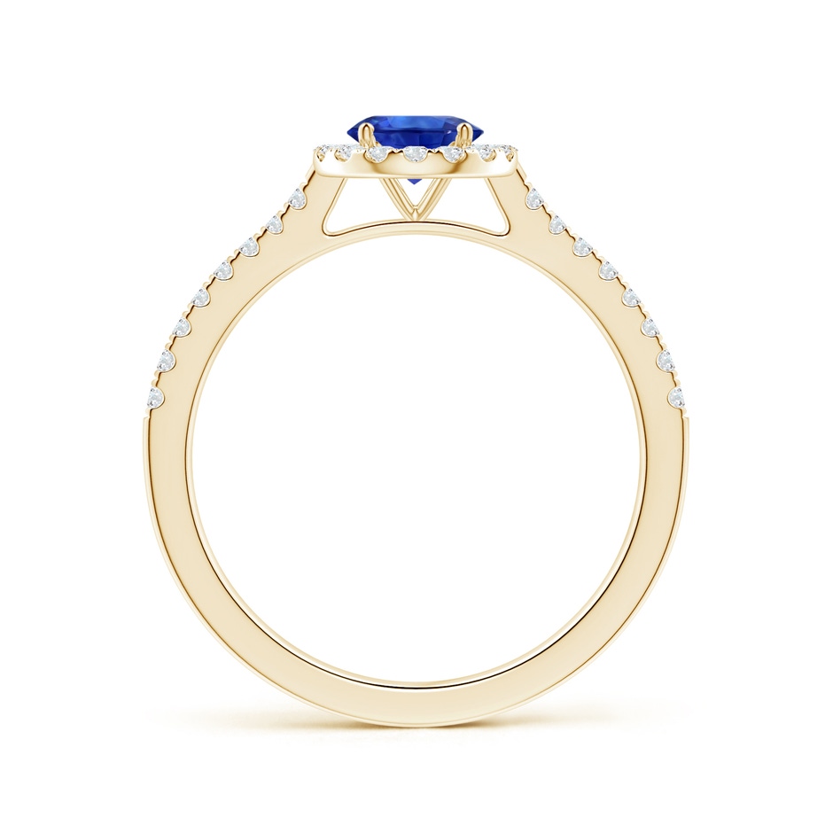 6.00x5.97x3.42mm AAAA Blue Sapphire Halo Ring with Reverse Tapered Shank in Yellow Gold side 199
