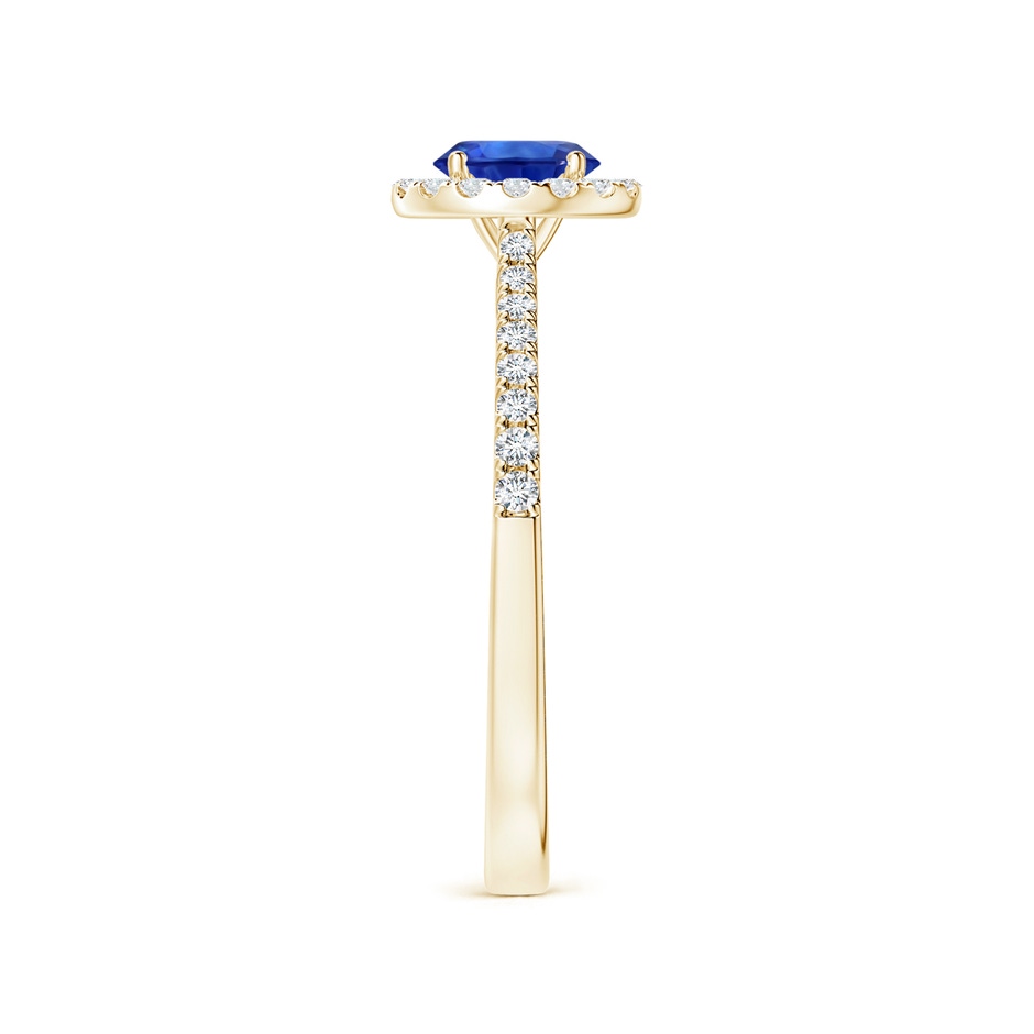 6.00x5.97x3.42mm AAAA Blue Sapphire Halo Ring with Reverse Tapered Shank in Yellow Gold side 399