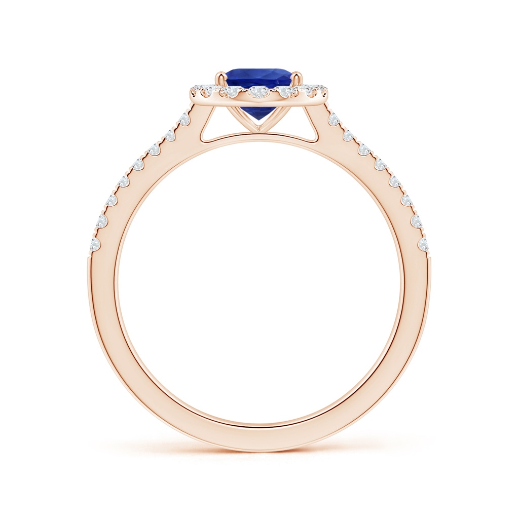 8.15x6.10x3.74mm AA Oval Blue Sapphire Halo Ring with Reverse Tapered Shank in 10K Rose Gold Side 199
