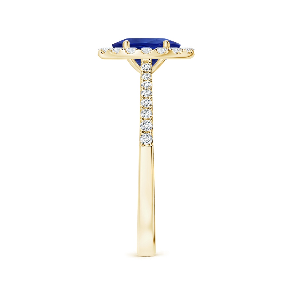 8.15x6.10x3.74mm AA Oval Blue Sapphire Halo Ring with Reverse Tapered Shank in 18K Yellow Gold Side 399