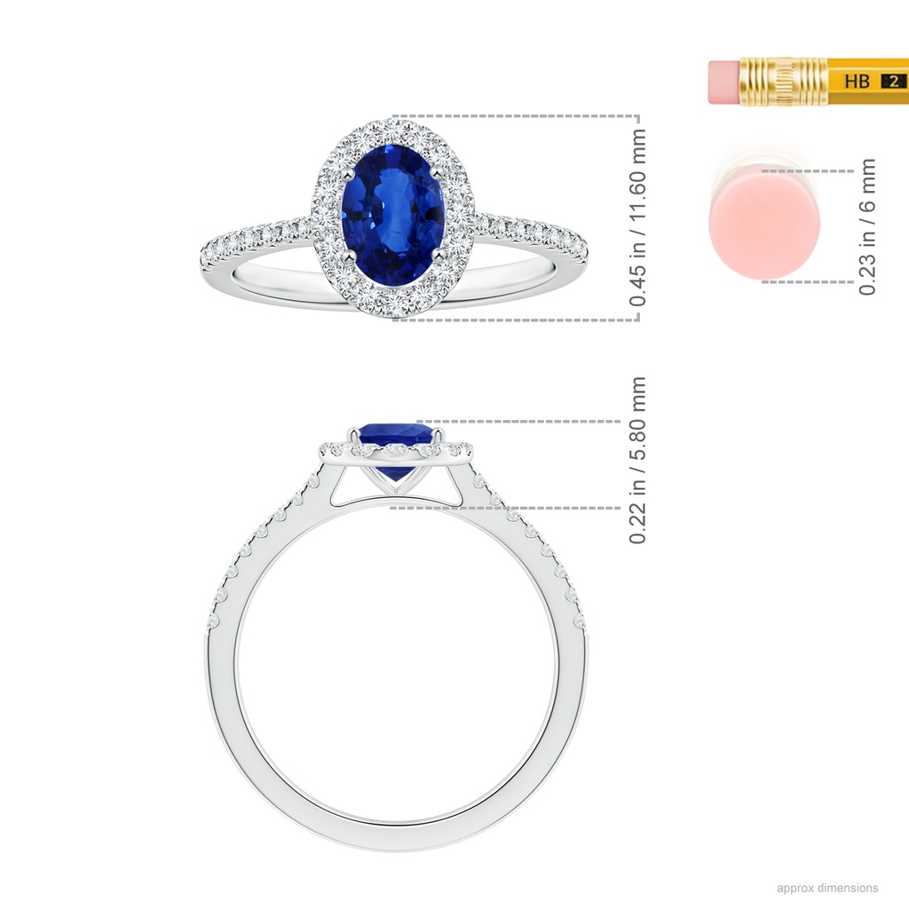 8.15x6.10x3.74mm AA Oval Blue Sapphire Halo Ring with Reverse Tapered Shank in White Gold ruler