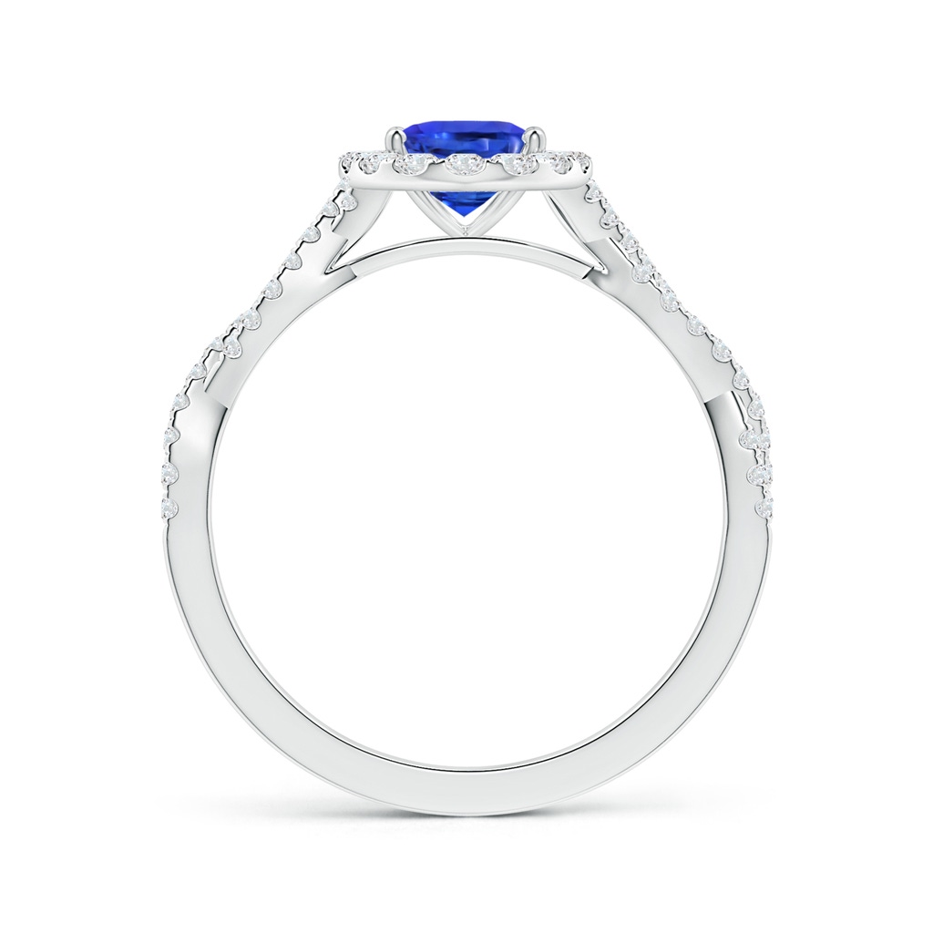 6.70x5.18x3.69mm AAAA GIA Certified Oval Blue Sapphire Twisted Shank Ring with Halo in P950 Platinum Side-1