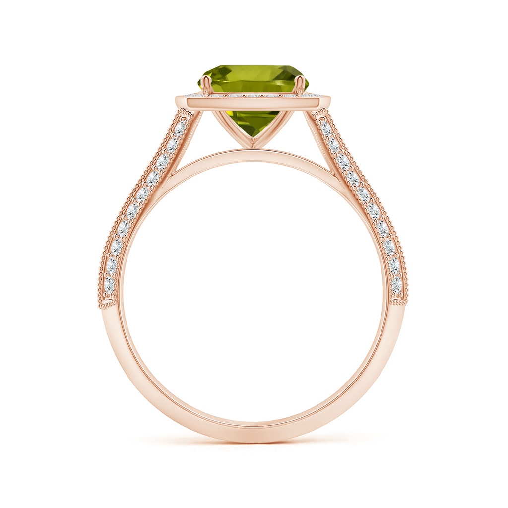 7.13x7.11x4.18mm AA Knife-Edge Shank GIA Certified Cushion Peridot Halo Ring in 10K Rose Gold - side 199