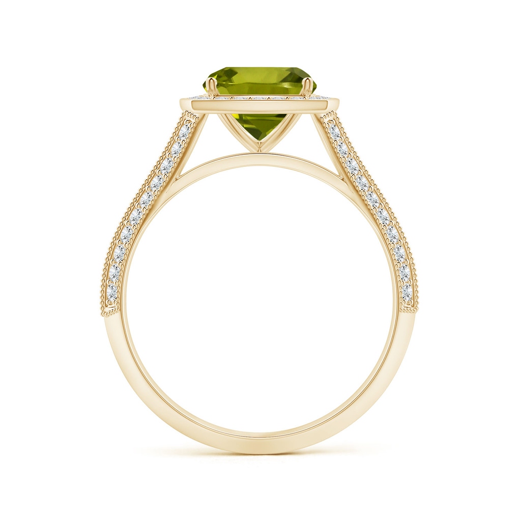 7.13x7.11x4.18mm AA Knife-Edge Shank GIA Certified Cushion Peridot Halo Ring in Yellow Gold - side 199
