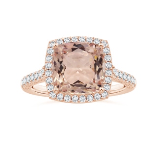 10.99x10.94x7.12mm AAA Cushion Morganite Halo Ring with Scrollwork in 10K Rose Gold