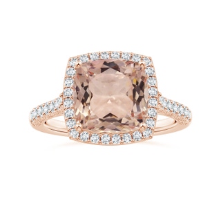 10.99x10.94x7.12mm AAA Cushion Morganite Halo Ring with Scrollwork in Rose Gold