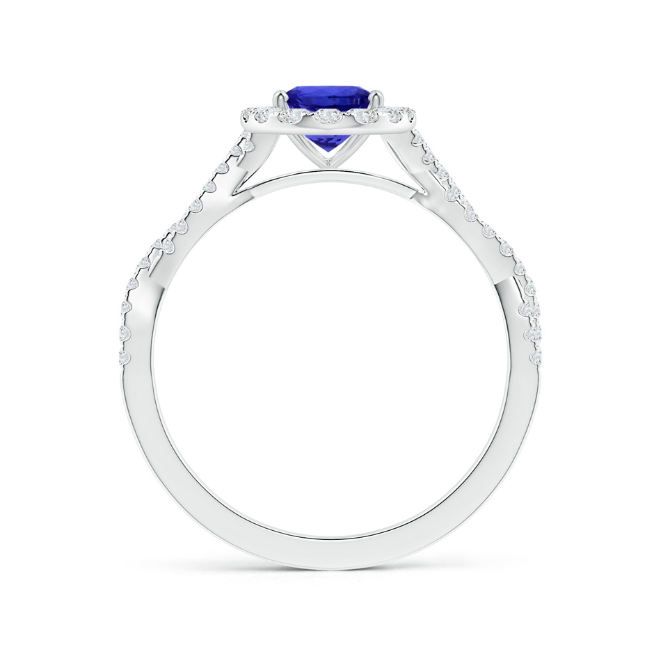 8.09x5.97x4.14mm AAA GIA Certified Oval Tanzanite Twisted Shank Ring with Diamond Halo in P950 Platinum Side 199