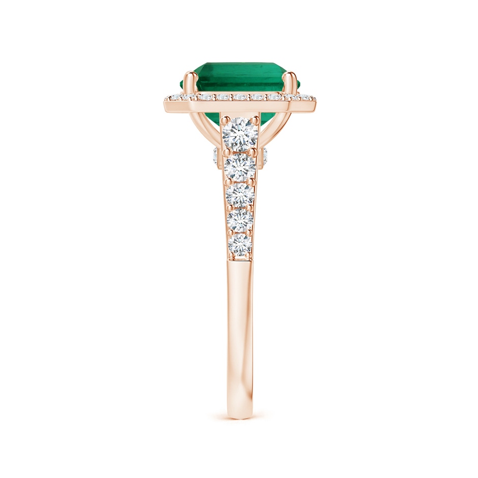 11.20x9.03x5.78mm AAA GIA Certified Emerald-Cut Emerald Tapered Shank Ring with Diamond Halo in Rose Gold side 399