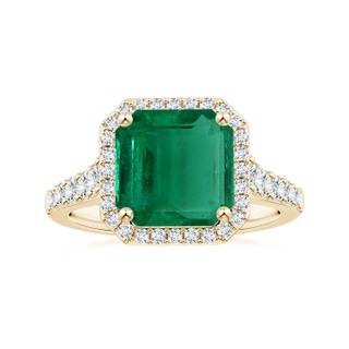 Emerald Cut AAA Emerald