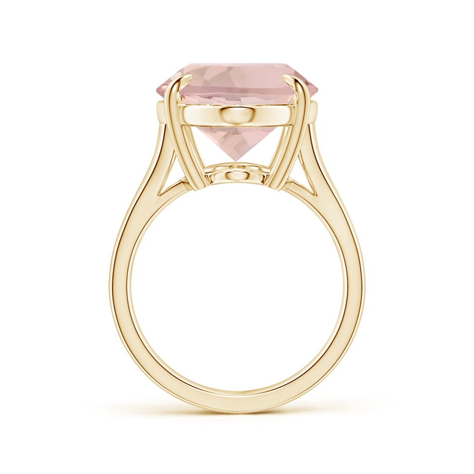 30x13mm AA Claw-Set GIA Certified Solitaire Oval Morganite Split Shank Ring in Yellow Gold side 199