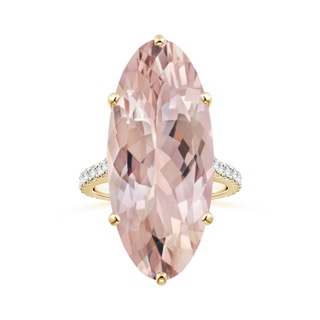 Oval AA Morganite