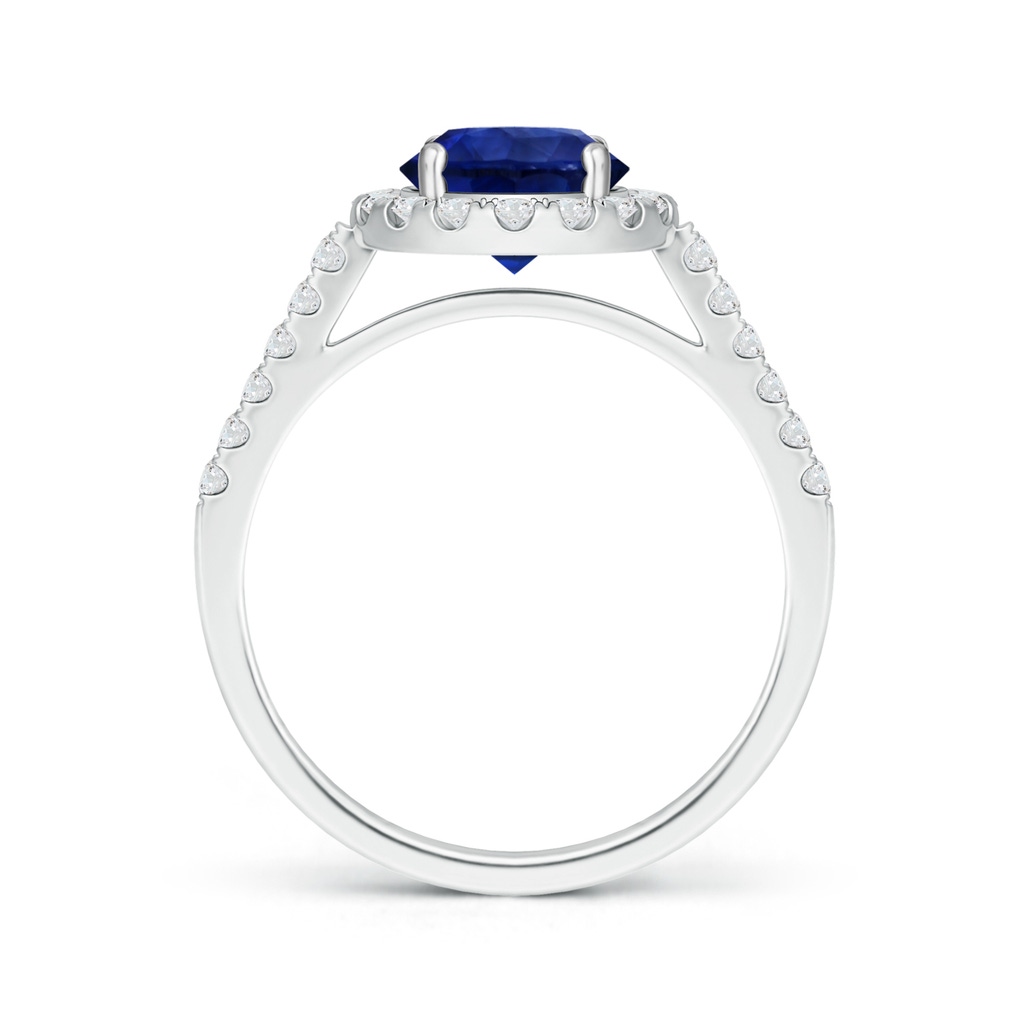 7.73x7.69x4.14mm AAA GIA Certified Round Sapphire Ring with Diamond Halo in 18K White Gold Side-1