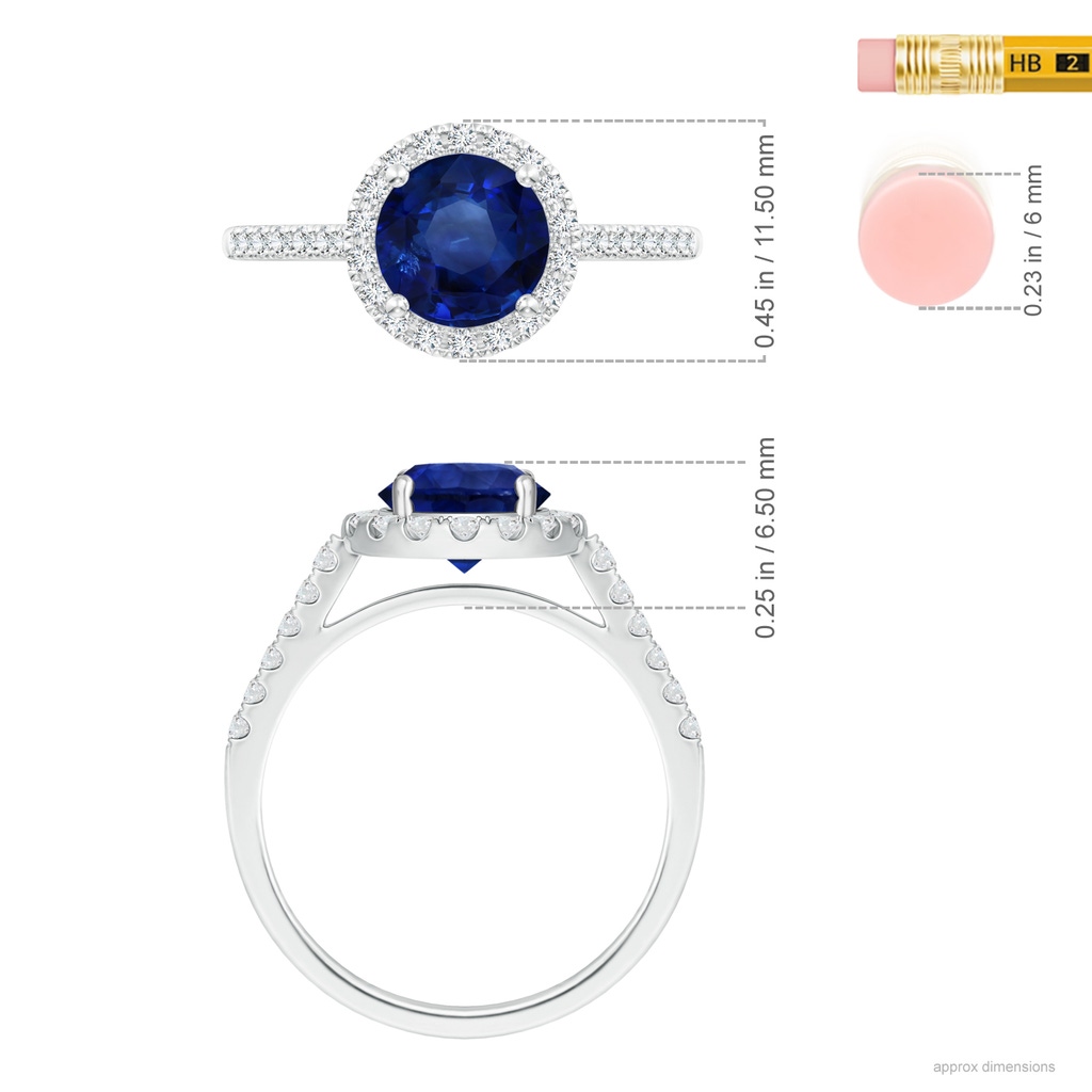 7.73x7.69x4.14mm AAA GIA Certified Round Sapphire Ring with Diamond Halo in 18K White Gold Ruler