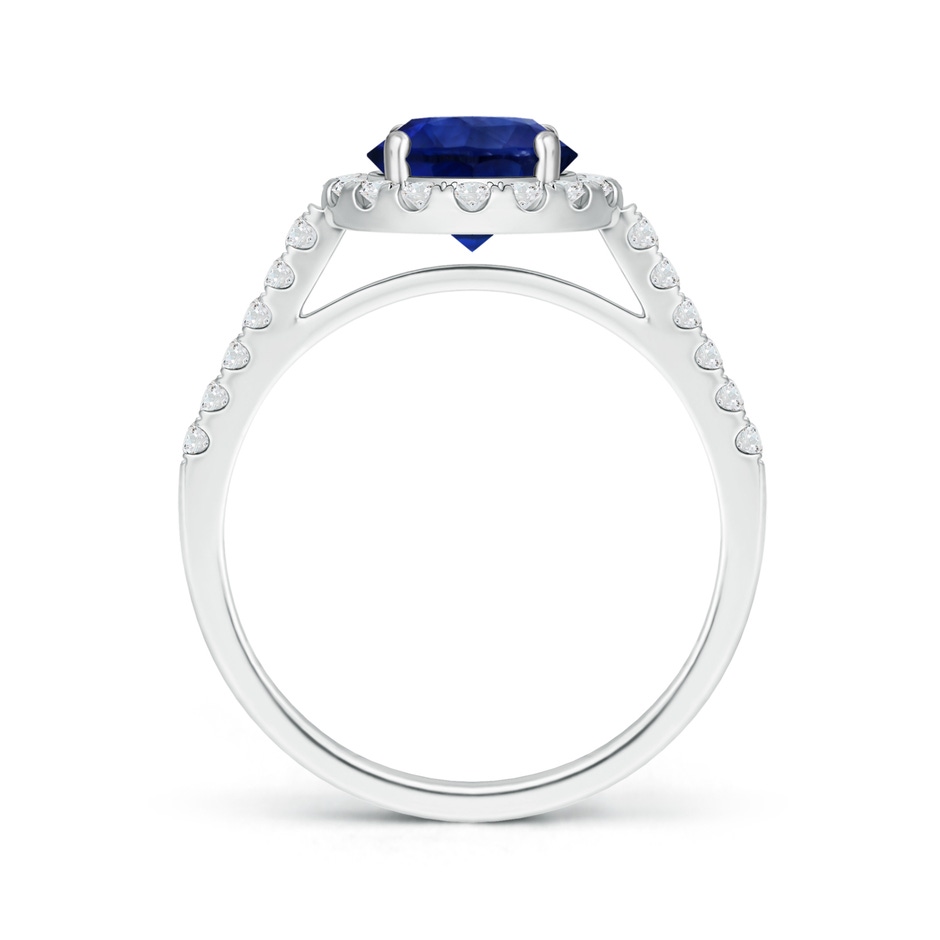 7.73x7.69x4.14mm AAA GIA Certified Round Sapphire Ring with Diamond Halo in P950 Platinum side-1