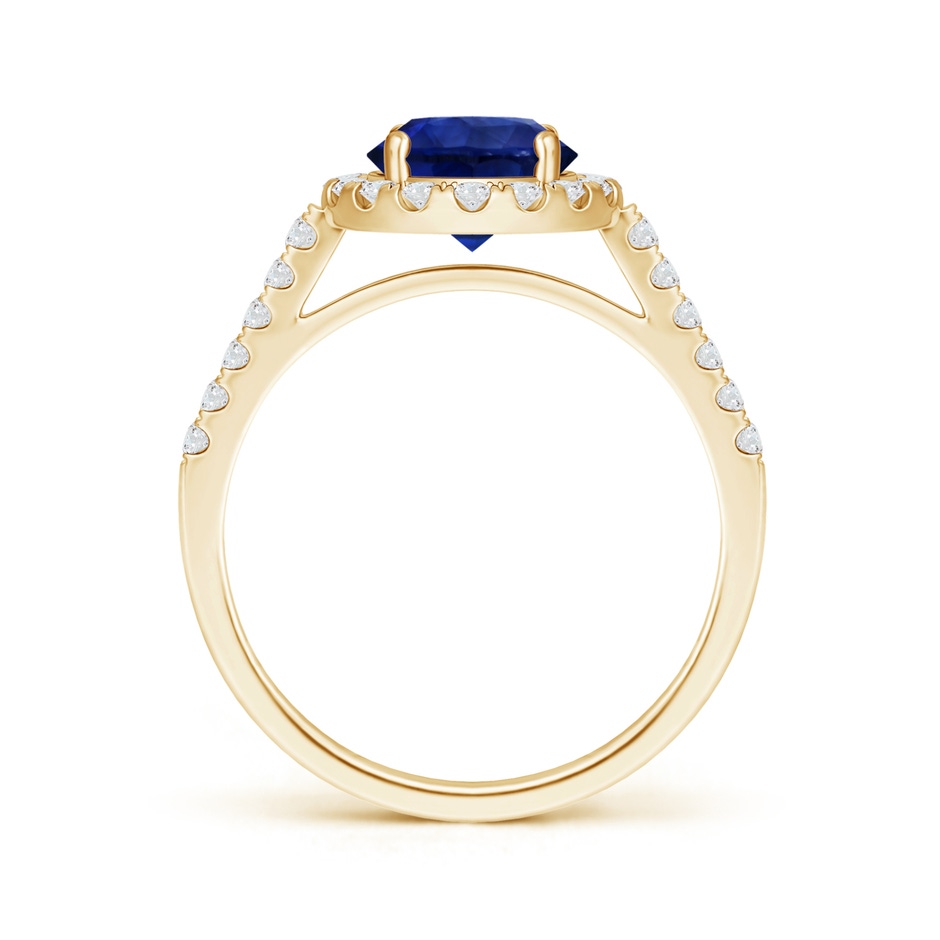 7.73x7.69x4.14mm AAA GIA Certified Round Sapphire Ring with Diamond Halo in Yellow Gold side-1