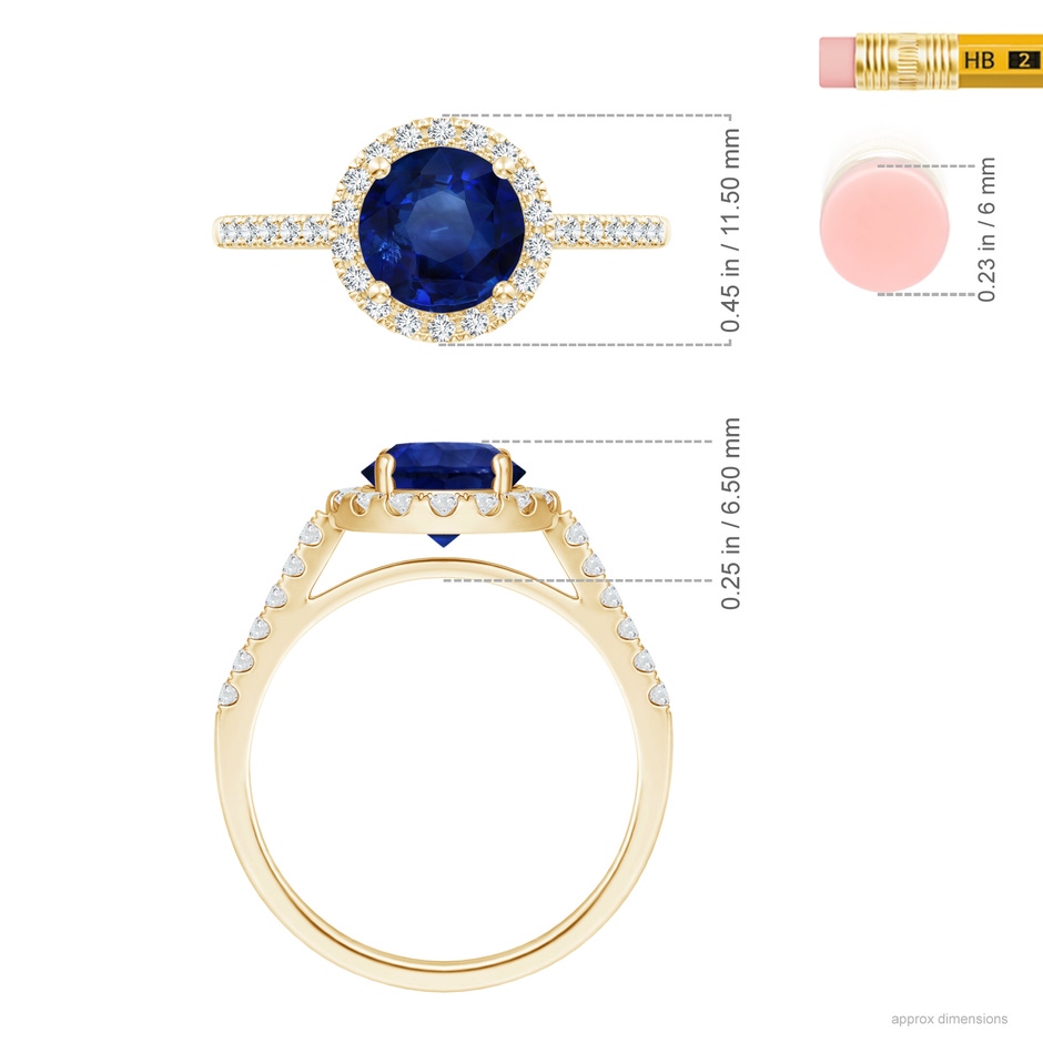 7.73x7.69x4.14mm AAA GIA Certified Round Sapphire Ring with Diamond Halo in Yellow Gold ruler