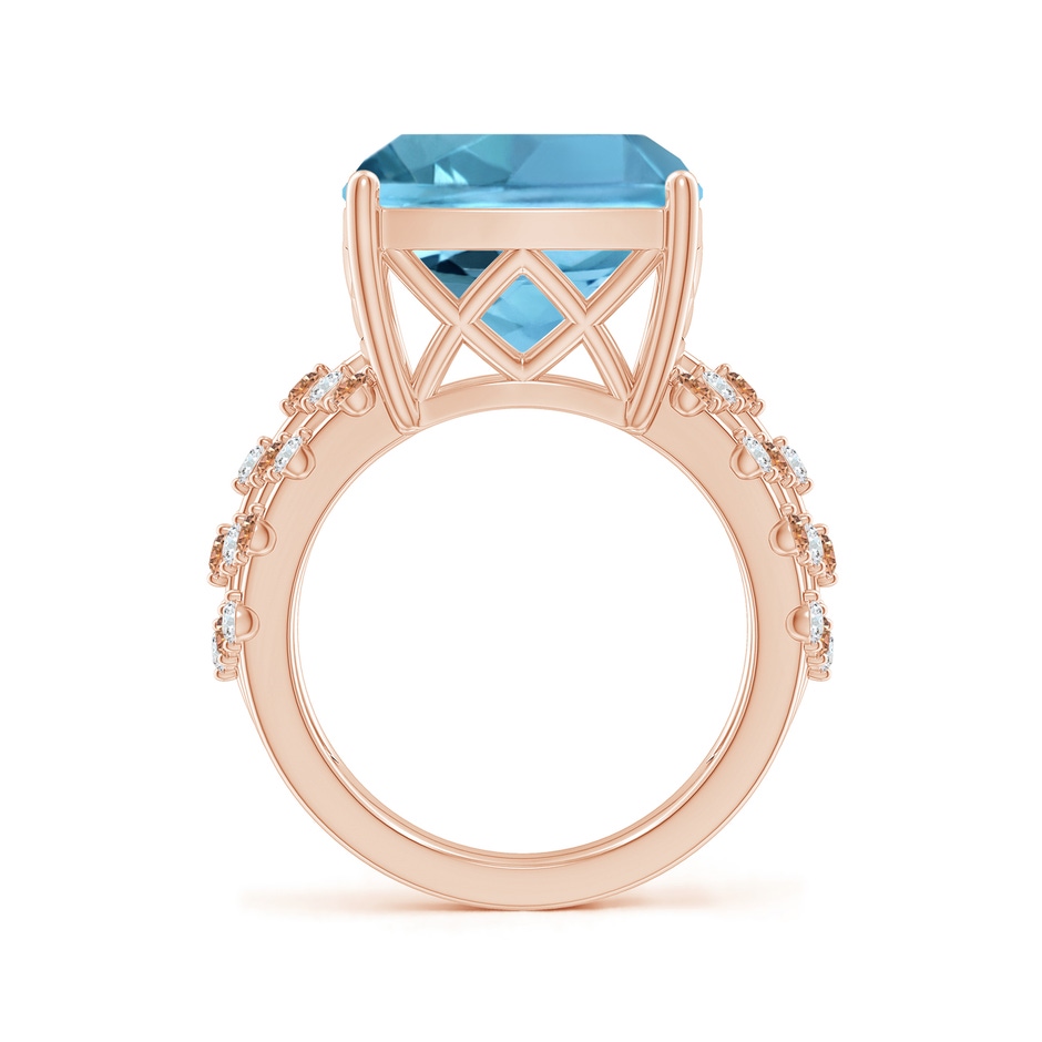 16.79x13.55x10.14mm AA GIA Certified Rectangular Cushion Aquamarine Solitaire Ring in Rose Gold side 399