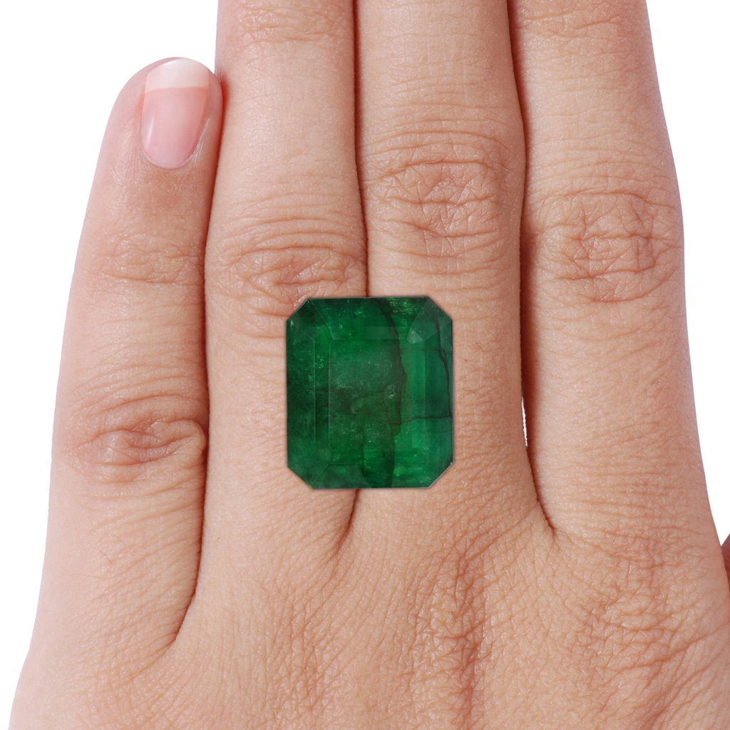 21.24x18.27x12.26mm A Art Deco-Inspired GIA Certified Emerald-Cut Emerald Ring With Halo in 18K White Gold Side 999