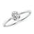 1/3 carat