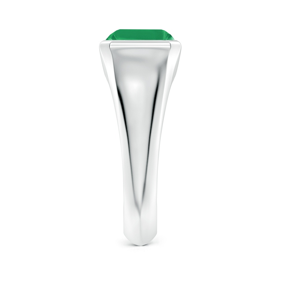 10x8mm A Emerald-Cut Emerald Signet Ring in P950 Platinum side 299