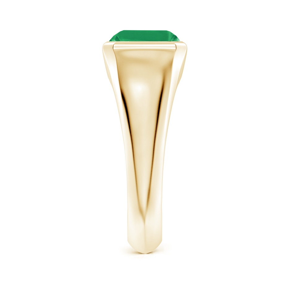 10x8mm A Emerald-Cut Emerald Signet Ring in Yellow Gold side 299