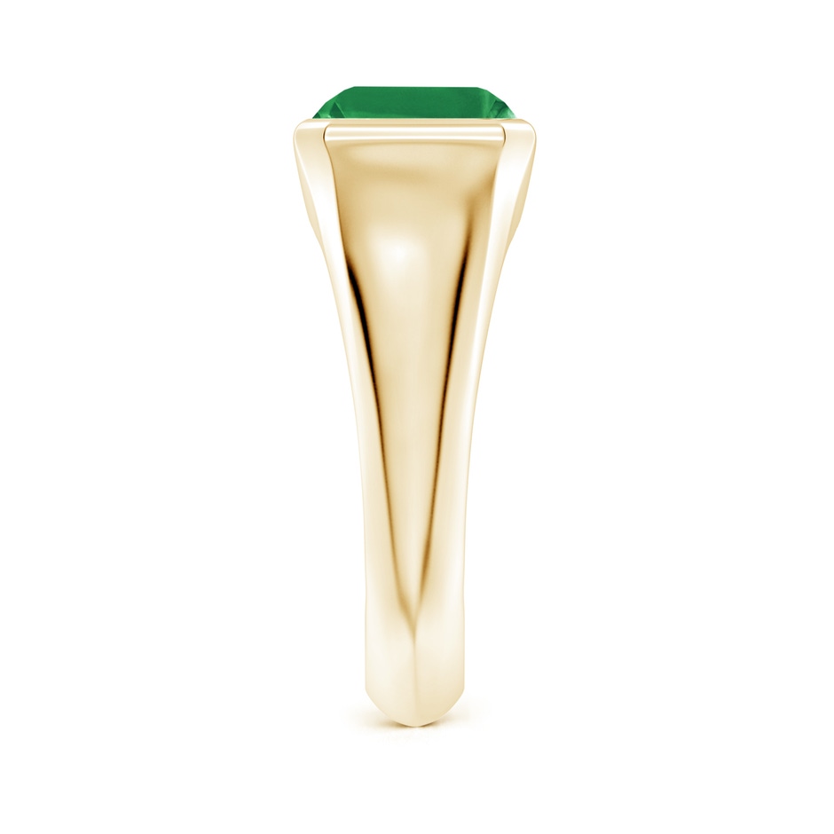 10x8mm AA Emerald-Cut Emerald Signet Ring in Yellow Gold side 299