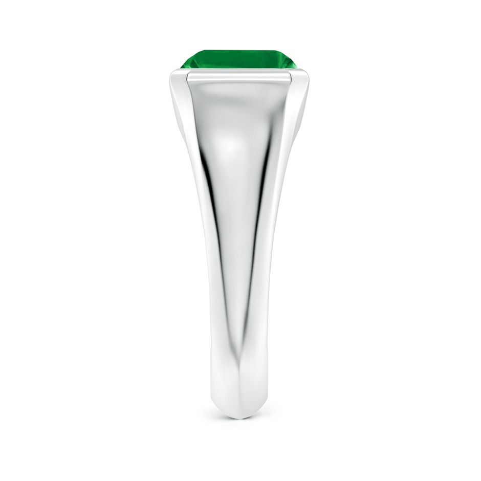 10x8mm AAA Emerald-Cut Emerald Signet Ring in P950 Platinum side 299