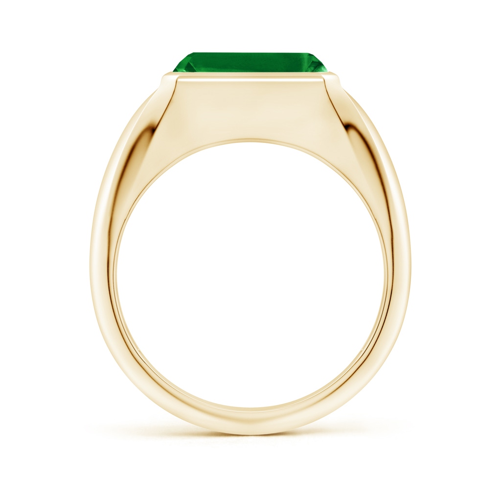 10x8mm AAAA Emerald-Cut Emerald Signet Ring in Yellow Gold - side 199