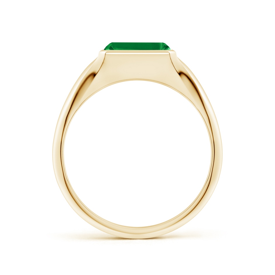 8x6mm AAA Emerald-Cut Emerald Signet Ring in Yellow Gold side 199