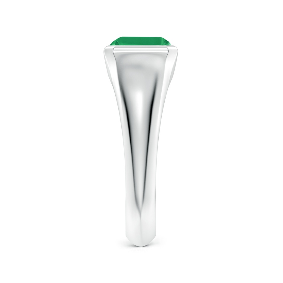 9x7mm A Emerald-Cut Emerald Signet Ring in White Gold side 299