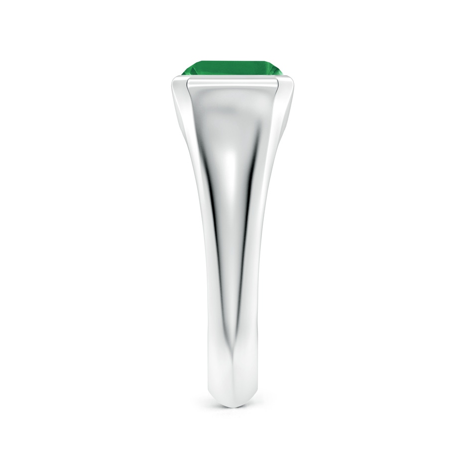 9x7mm AA Emerald-Cut Emerald Signet Ring in White Gold side 299